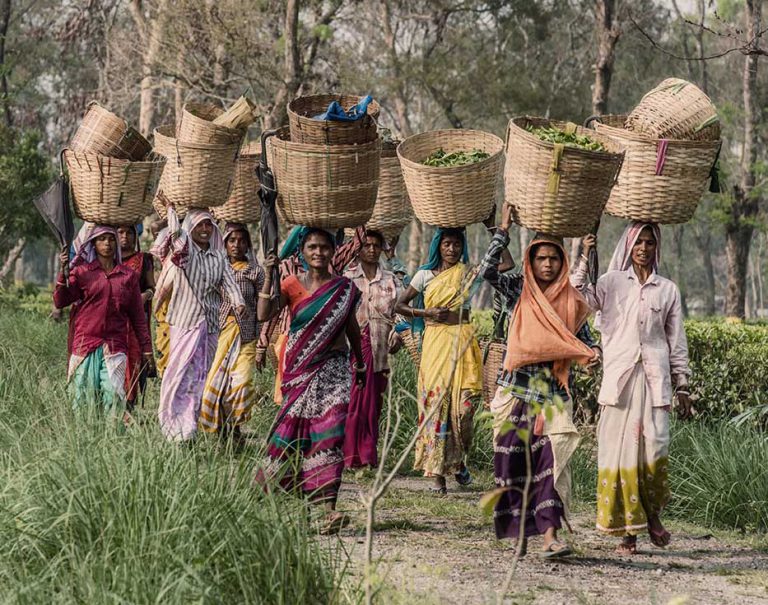 Indian women carrying baskets of crops on their heads